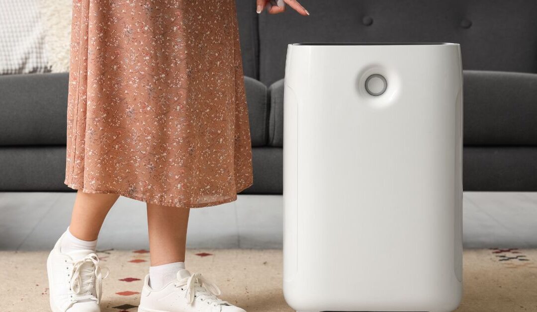 Transform Your Space into a Sanctuary: How Home Wellness & Environment Shape Your Mood (and the Simple Tools to Get Started)