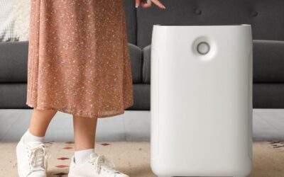 Transform Your Space into a Sanctuary: How Home Wellness & Environment Shape Your Mood (and the Simple Tools to Get Started)